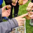 Thema Kartoffel im Schulbauernhof (© Heinz Sielmann Stiftung)
